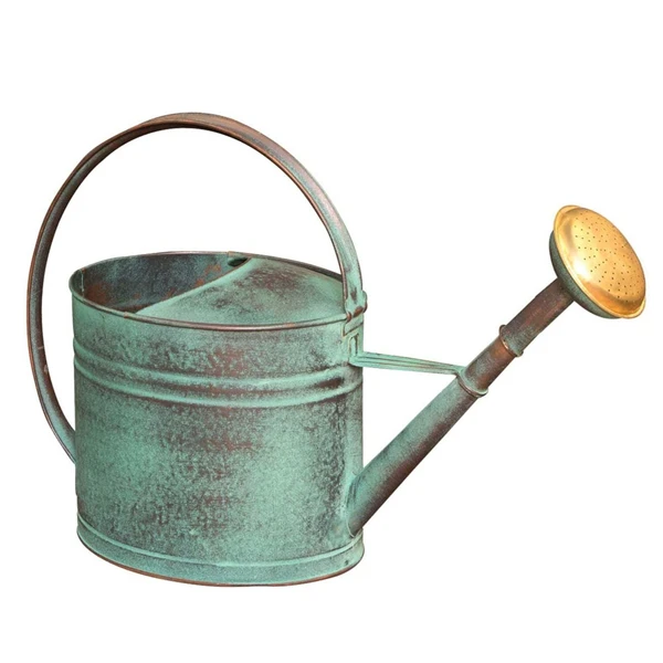 Guillouard Arrosoir Ovale Pomme Grille Laiton 4L Acier Galvanisé Chaud Vert Vieilli 3 Guillouard Arrosoir Ovale Pomme Grille Laiton 4L Acier Galvanisé Chaud Vert Vieilli