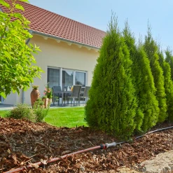 Goutte à Goutte Ensemble Arrosage Goutte à Goutte Rangées De Plantes Gardena 50 M -Espace vert et piscine Boutique ensemble complet pour installation arrosage goutte goutte rangees de plantes gardena 6