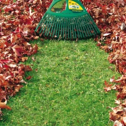 Balai à Gazon Balai à Gazon XL 27 Dents Manche Bois Spécial Feuilles Leborgne 369711 9 Balai à Gazon Balai à Gazon XL 27 Dents Manche Bois Spécial Feuilles Leborgne 369711 -Espace vert et piscine Boutique imageproduct371873 2