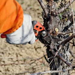 Sécateur Et élagueur Sécateur Ergonomique Poignée Fixe PX-M2 T M Taille Coupe 20mm Bahco -Espace vert et piscine Boutique secateur coupe ergo